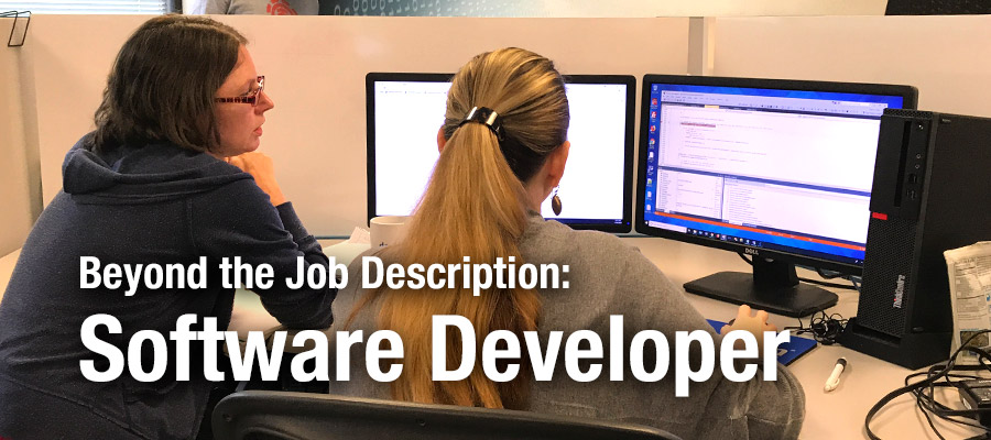 Beyond the Job Description: Software Developer